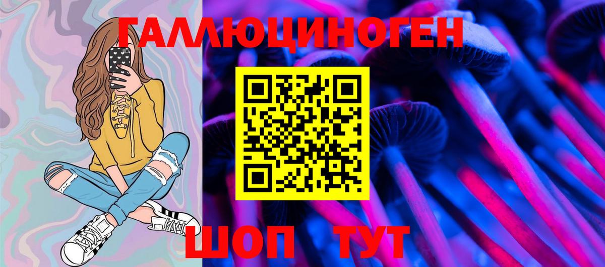 Галлюциногенные грибы GOLDEN TEACHER Сухой Лог