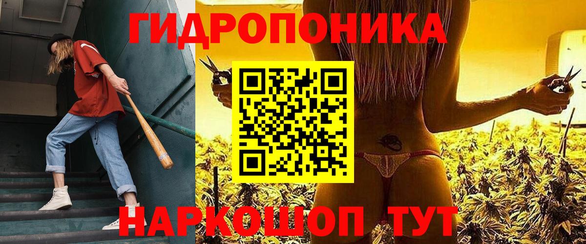 Шишки марихуана тримм  Канабис семена  Каннабис индика  Вход с VPN  Бошки Шишки LSD WEED  Сухой Лог 